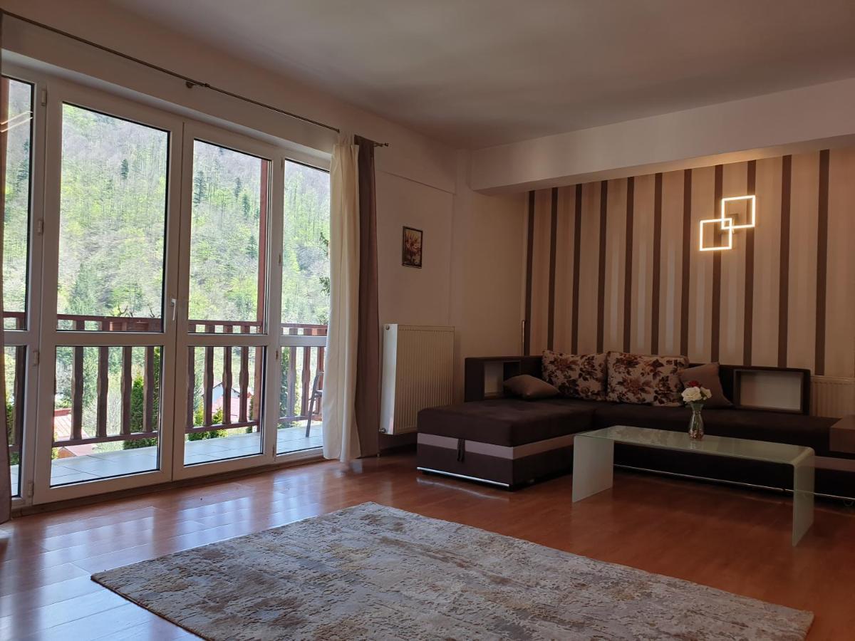 Sinaia Alex Apartments Εξωτερικό φωτογραφία